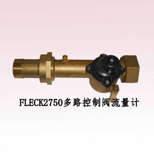 流量計 FLECK2750控制閥流量計及線廠家