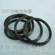 FLECK2850閥O型密封圈,控制閥配件