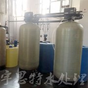 FLECK2900nxt全自動軟水器一用一備型